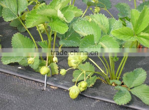 plastic weed control mat