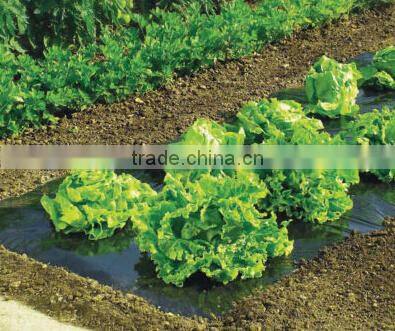 PLA biodegradable corn plastic film,compostable weeds mulch film