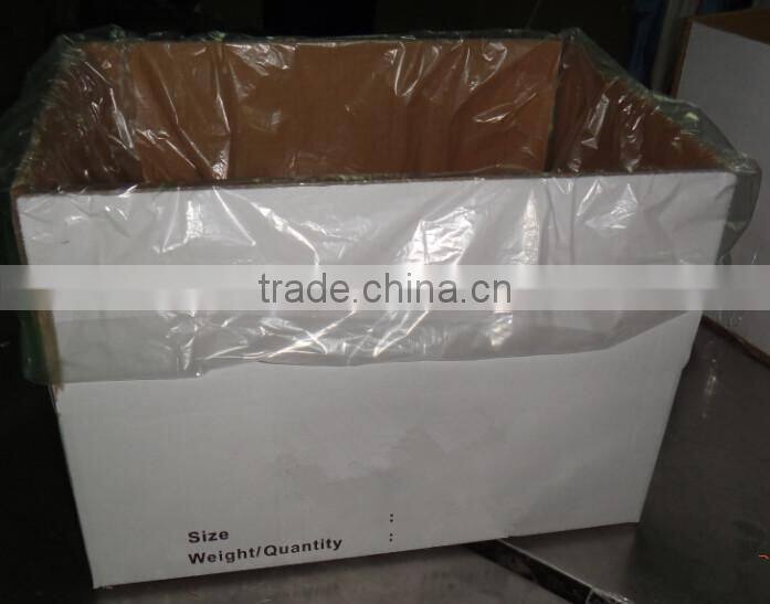 Asian Sea Bass Lates Calcarifer Barramundi