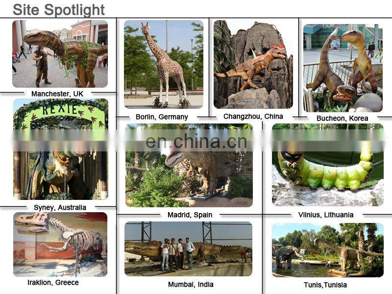 Animal Robot Speeding Test Robot