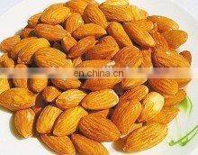 Good Feedback Hazelnut Peeling Machine for High Evaluate