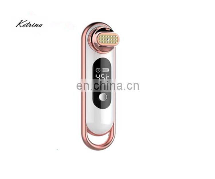 Professional Rechargeable EMS RF temperature control electroporation beauty salon equipment Japan beauty care tools