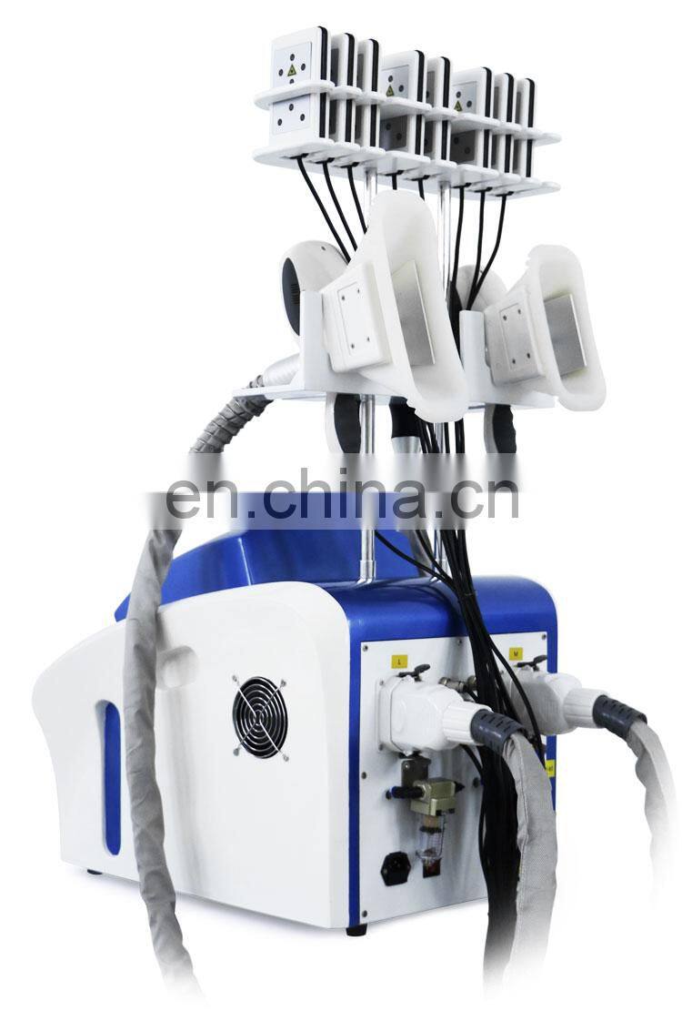 Factory selling 2020 renlang weight loss fat freezing machine cool cryo 40k rf lipolaser