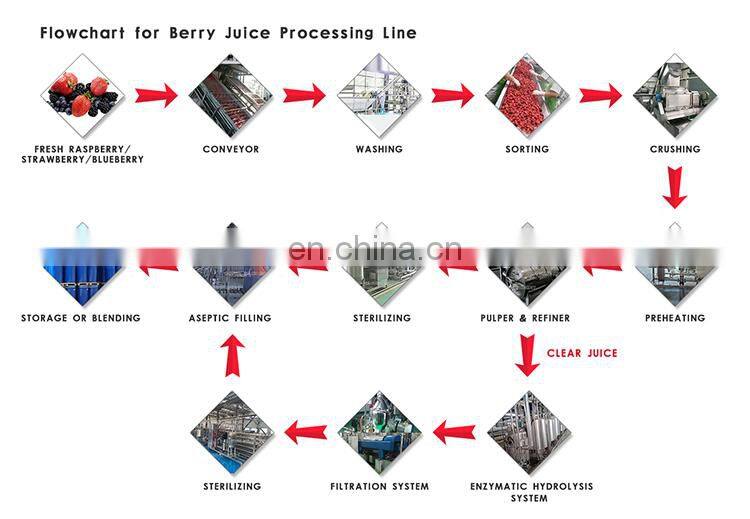 Juicer Production Line Complete Automatic Fruit Juice Filling Juicer Production Line