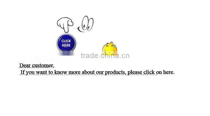 Vaulted steel truss space frame dome roof