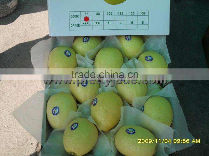 2014 new fresh pomelo