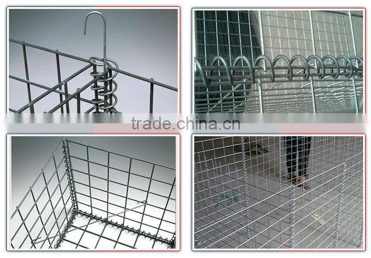 Anping 50*100mm welded gabion wire mesh