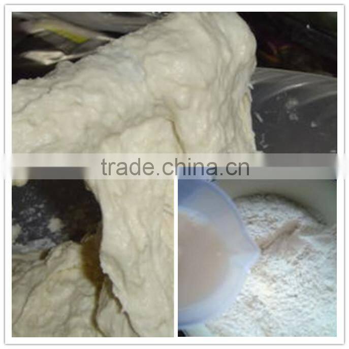 25KG all stainless steel dough maker