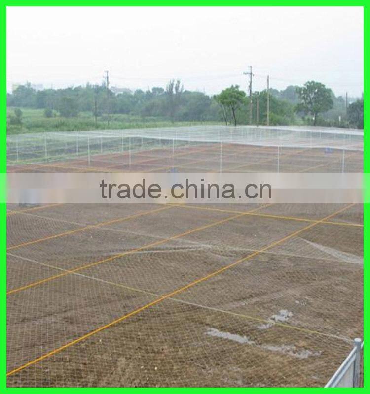 plastic vineyard cover bird wire mesh/fly wire netting