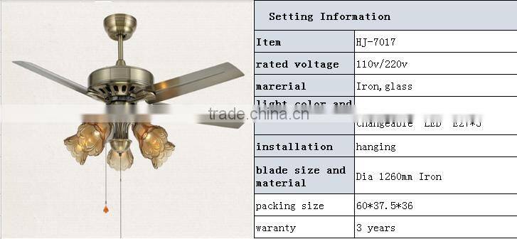 indoor fancy lights with ceiling fans