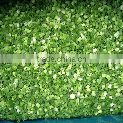 Frozen style fresh Chinese green scallion 2015 new crop