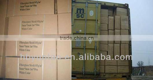 High temperature fiberglass alkaline resistant mesh ISO9001