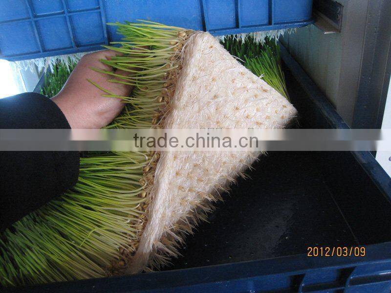 Multi-function Animal Fodder Machine