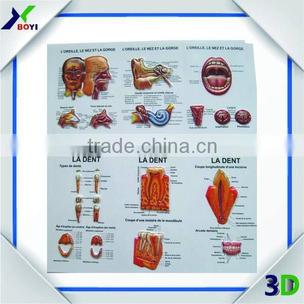 Medical Gift 3D Embossed Plastic Pen Holder