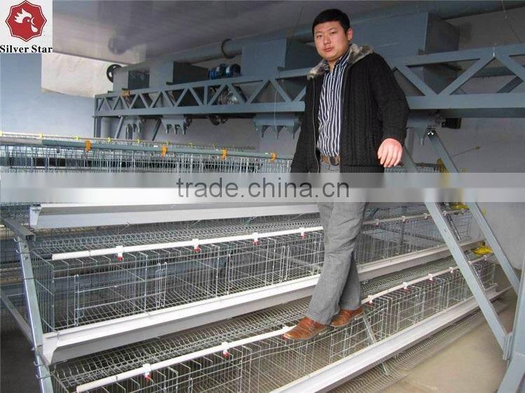 Chicken rearing cage, chicken farm cage for egg laying hens