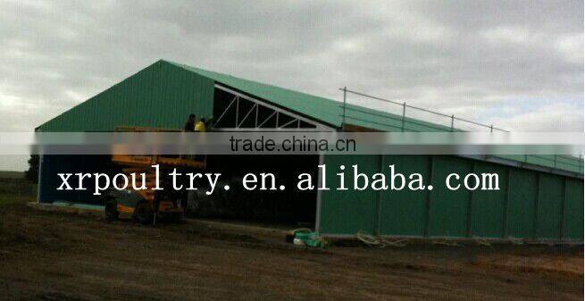 modern chicken egg poultry farm building