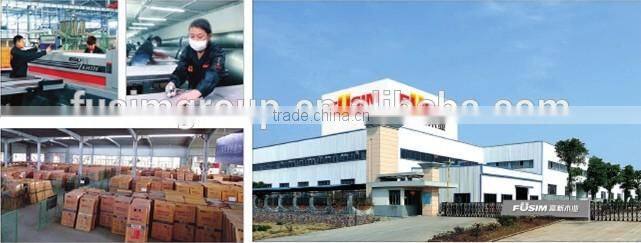 Cheap fire-proof flush door with different fire resistance