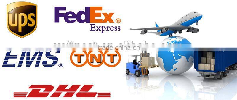 cam buckle nylon strap,pet strap