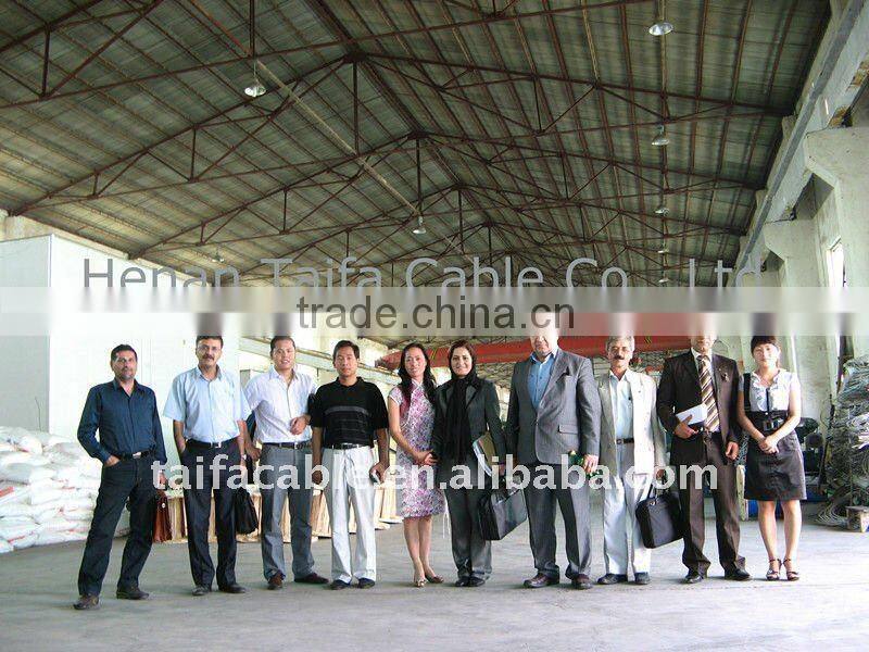 Hot selling BS5467 eletrical copper cable Steel Wire Armoured Power Cable