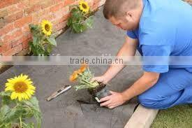 Pp Spunbond Non-woven Fabric For Banana Cover 30gsm