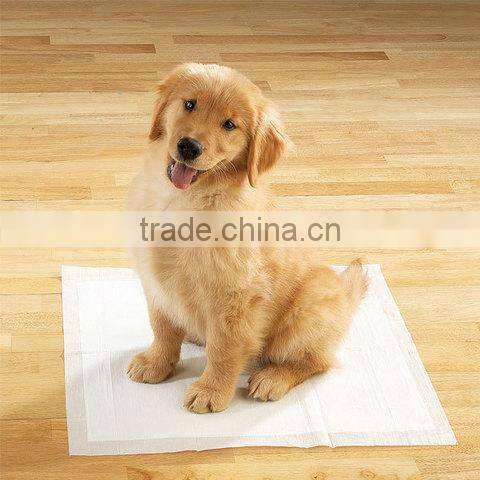 disosale underpads for pet training