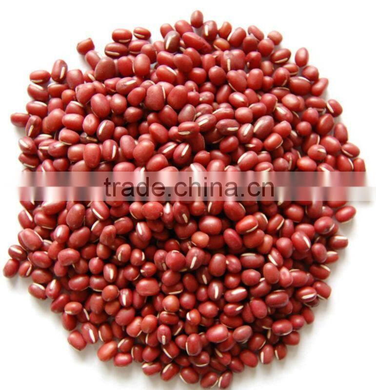 2015 Dark Red Kidney Bean