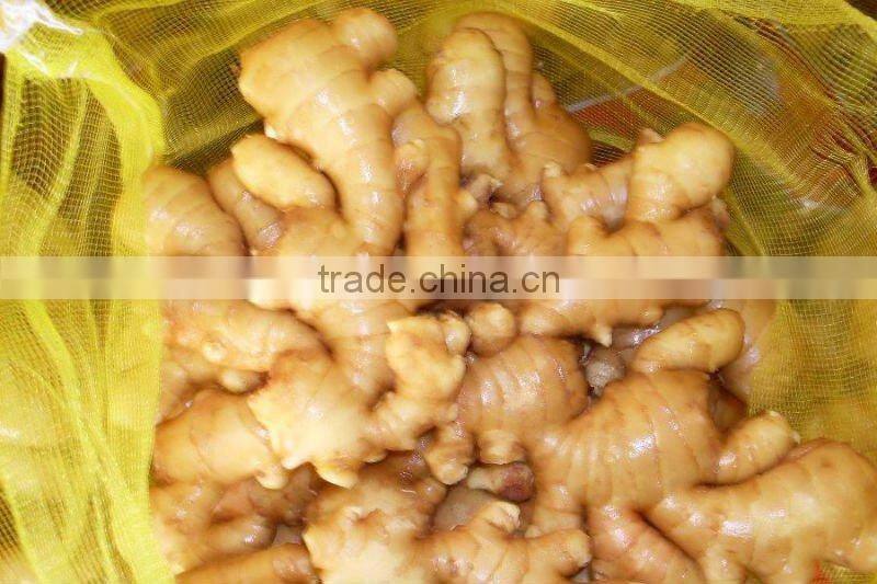 mesh bag &PURE block fresh fat ginger