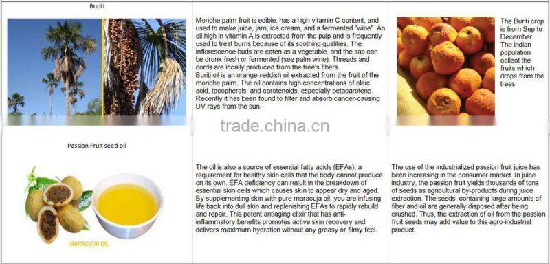 Tonka beans or Cumaru seeds (Dipteryx odorata)