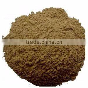 Pseudomonas Flourescens