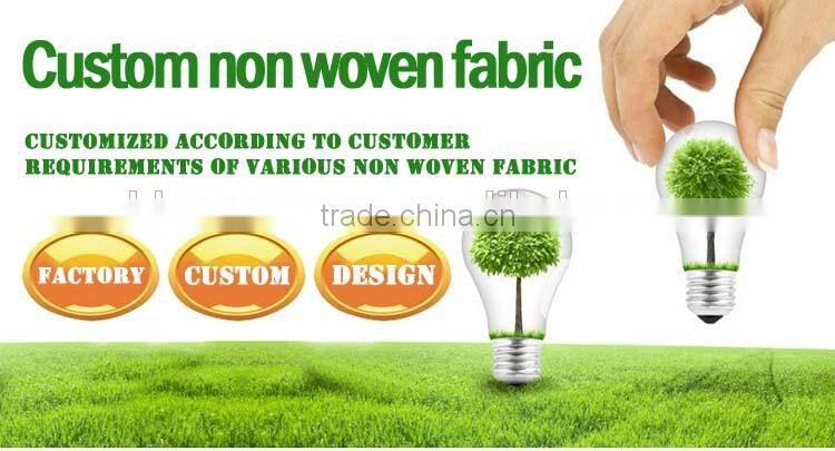 Strict QC Manufacturer Spun-Bonded Nonwoven Geotextile Tnt Non Woven Cloth