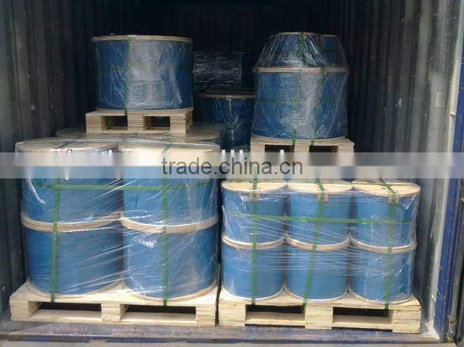 AISI 304 304L 310 316 316L SUS Stainless Steel Rigging Wire