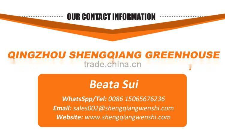 Garden greenhouse glass greenhouse with seed bed made in China