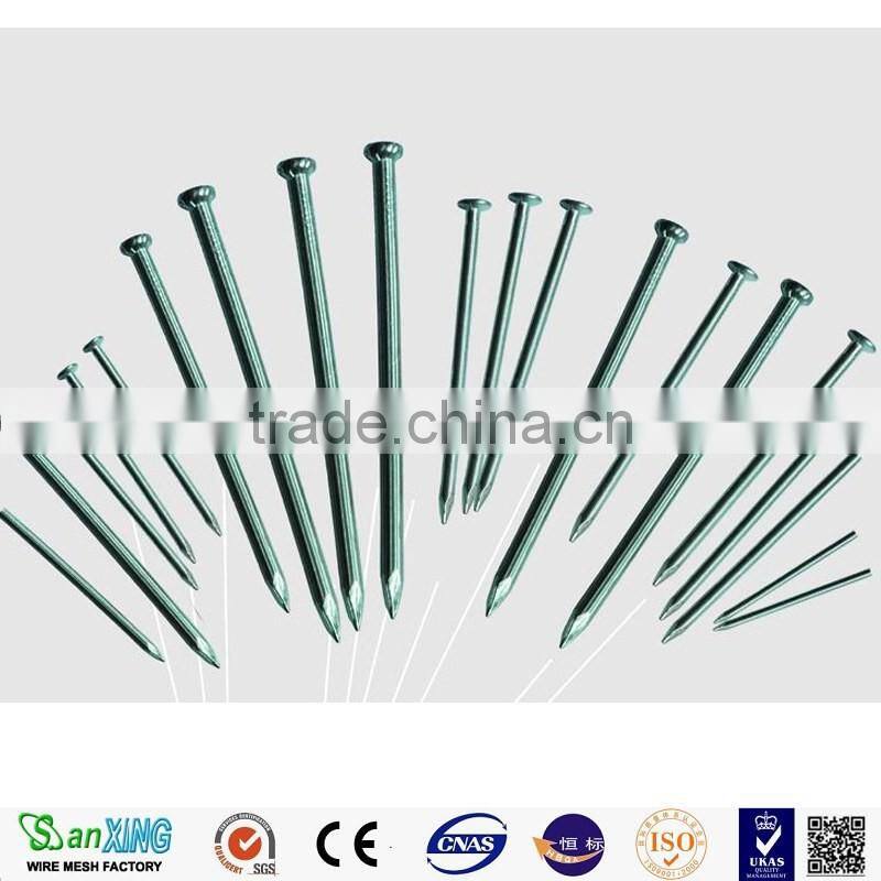 Flat Head Stainless Steel commom nail Screw nails