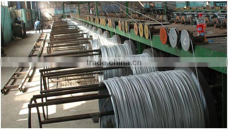 factory direct galvanized carbon steel wire iron wire with cheap price