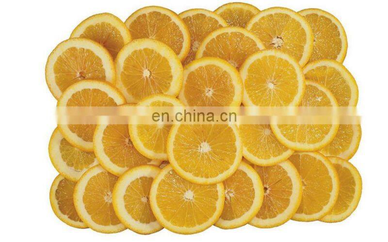 Fruit grater slicer vegetable cutter vegetable/industrial fruit cutter/commercial melon and fruit cutter