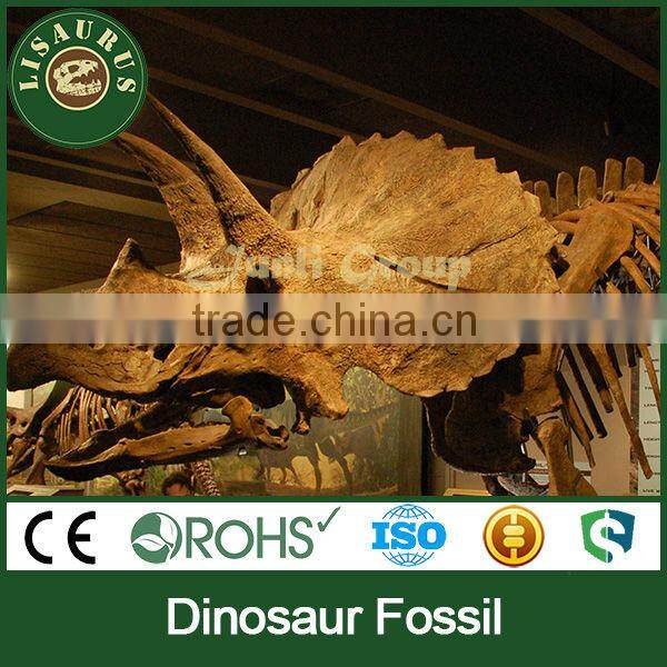 Lisaurus-JE the dig dinosaur fossil skeleton in Museum