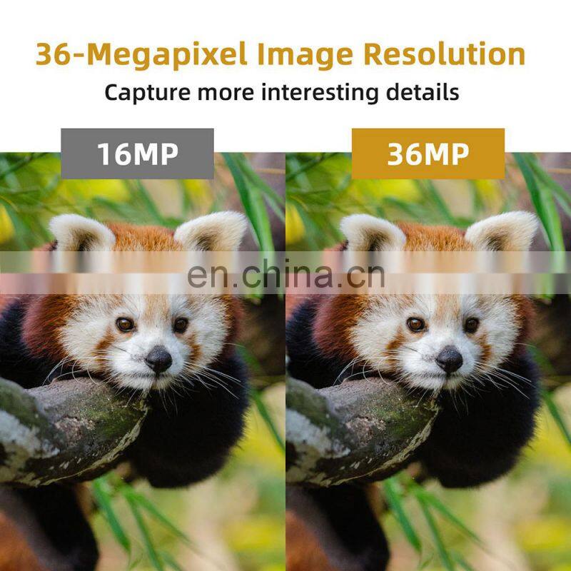2022 Night Vision Infrared Digital Game Hunting Trail Camera 36MP 2.7K Video Wildlife Camera Photo Trap Camera HC-812A