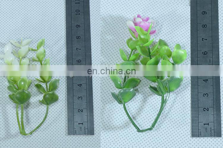 Vertical green wall flower