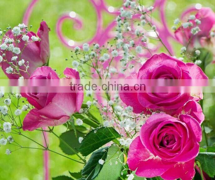 factory android wifi dongle tv box 1080p android tv box v5 2gb ddr3 8gb flash android 4.2 tv box