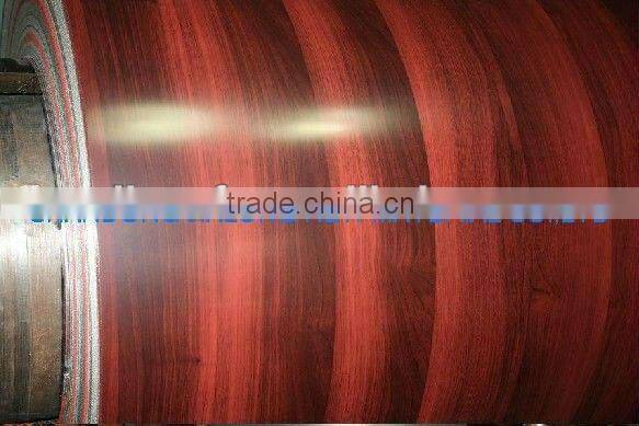 Prepainted Galvalume Steel for Decoration