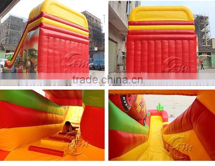 Customize car toys inflatable big size water slides,water park slides for sale