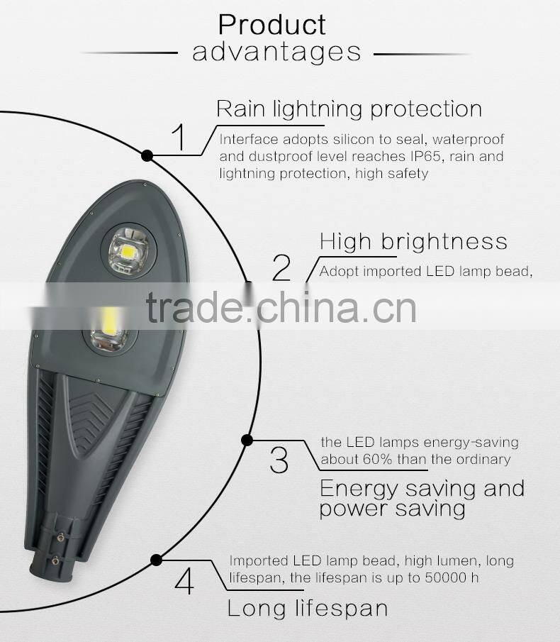 Aluminum Street Light Poles Replace High Pressure Sodium Lamps led street