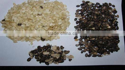 Popular hulling and separating equipment for watermelon seeds