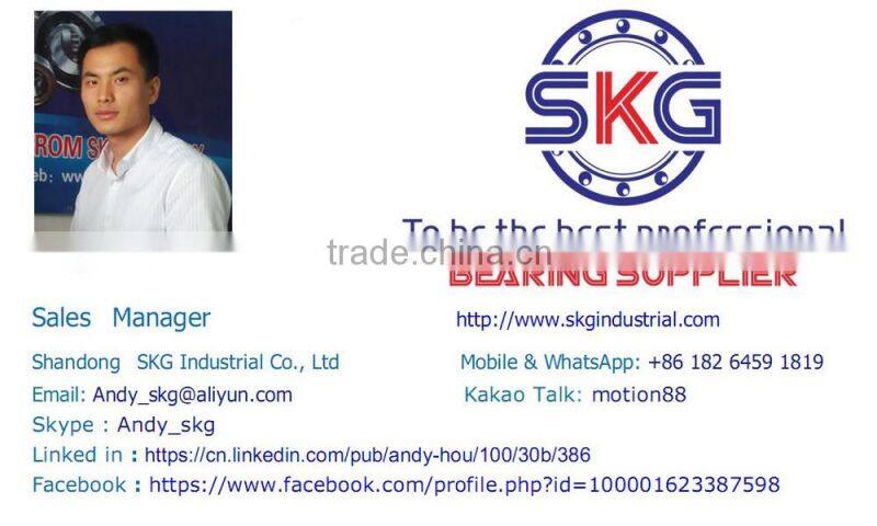 SKG Taper Roller Bearing 18790/20 made by 20years bearing