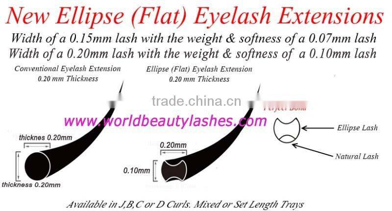 Ellipse Flat Lash volume lash with thicker and bolder look
