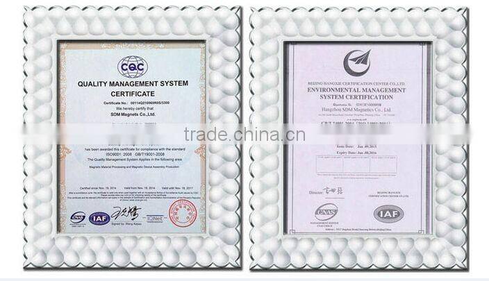 Manufactory Production custom shape neodymium magnet