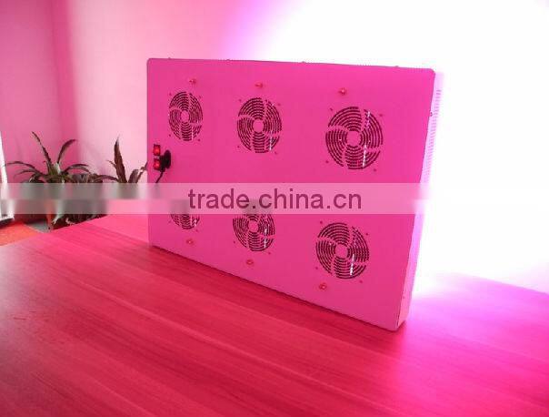 Evergrow NOVA F24 Super power 1000w LED Grow Lights