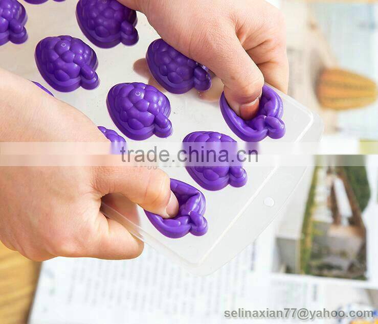 NEW Novelty Fruit Ice Juice Cube Tray Chocolate Jelly Silicone Mould Party