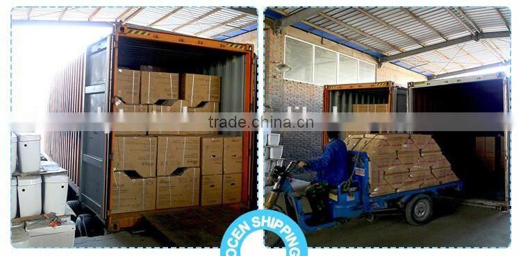 TJZ-06ce 2016 top bidet toilet with bidet function cheap model smart bidet toilet