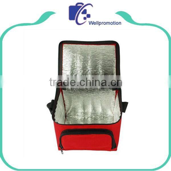 Large insulated canvas cooler bag for frozen food